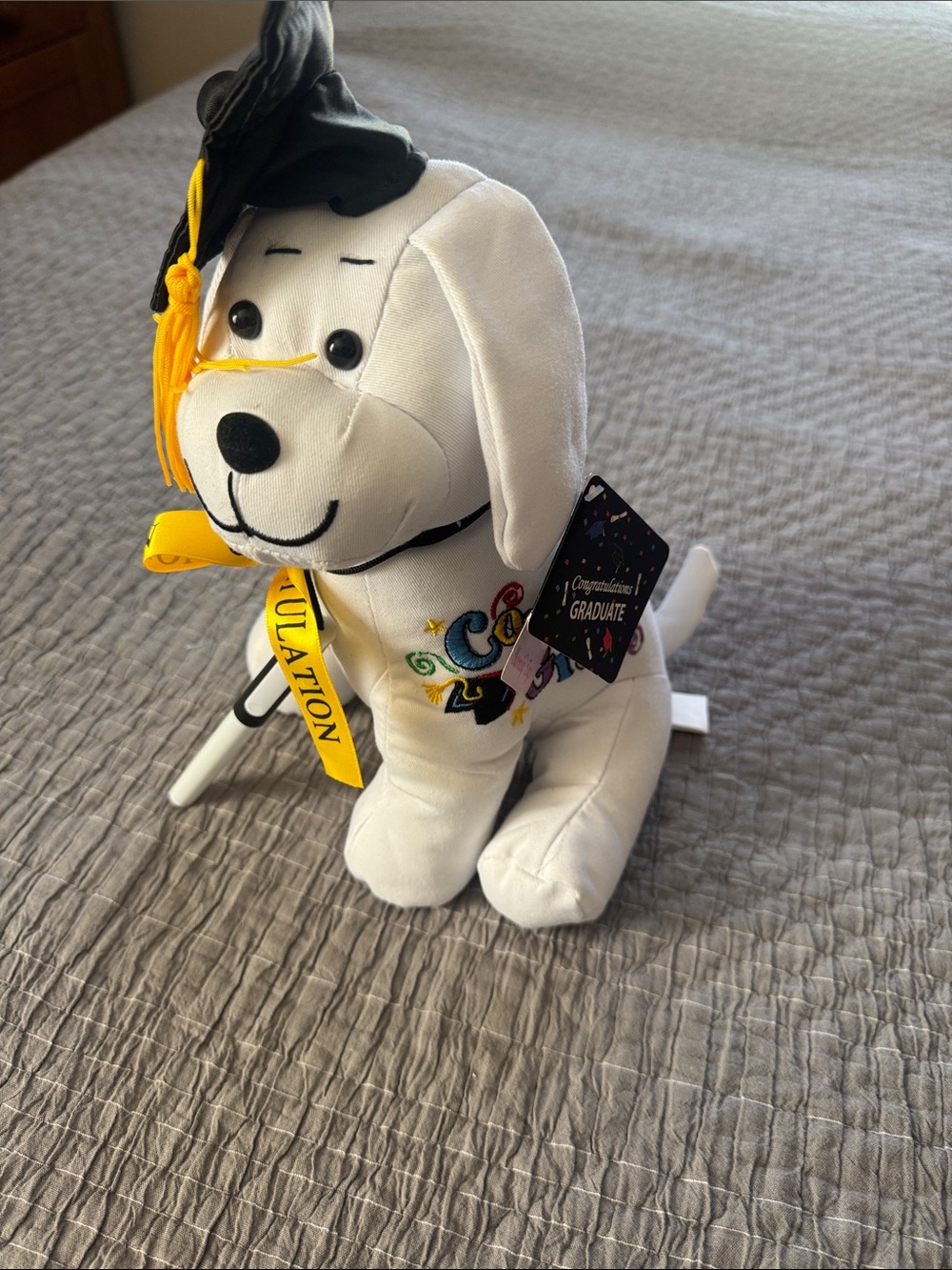 Graduation Dog Plush Stuffed Animal